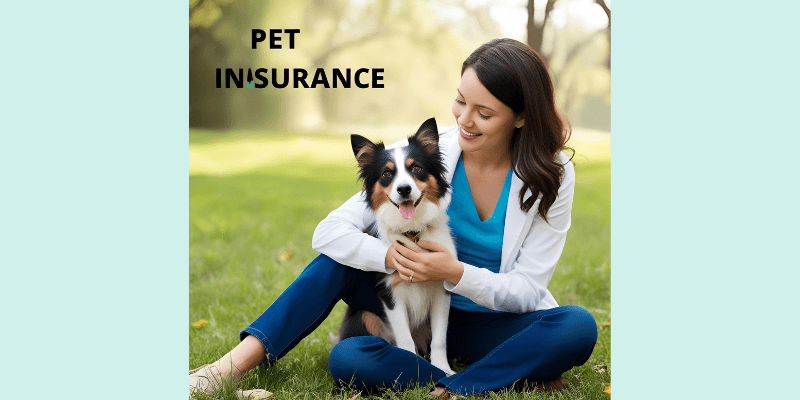 pet insurance